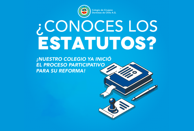 Proceso Reforma Estatutos - Participa Web 2