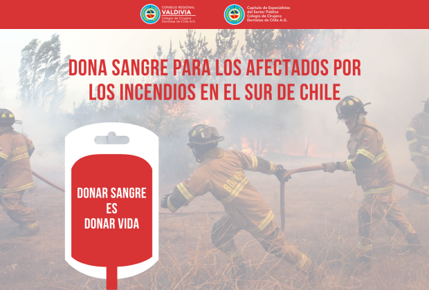 Campaña donación de sangre sitio web